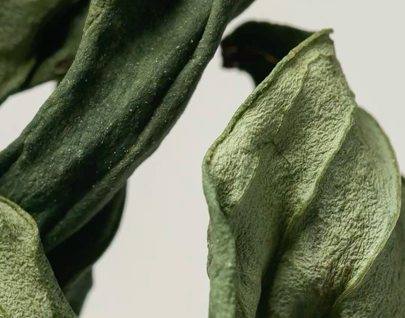 Mission Vision Image